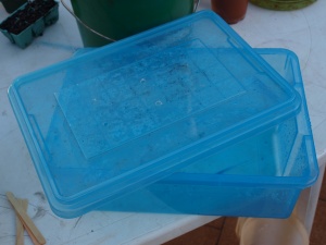The germination box